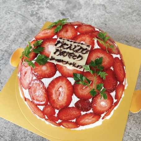ズコットケーキ